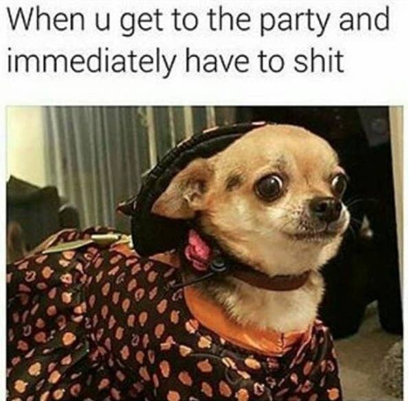27 Jokes You Ll Find Funny If You Ve Ever Pooped