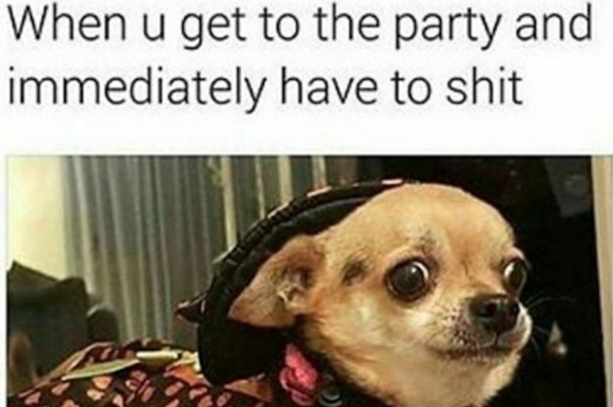 27 Jokes You Ll Find Funny If You Ve Ever Pooped