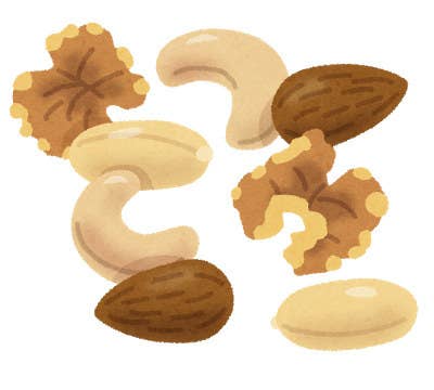 ベストコレクション 腸 イラストや 腸 いらすとや