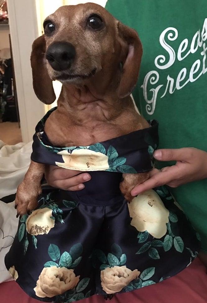 When asked if Sasha was worried in this pic, Brenda responded: 'That's her face most of the time.'