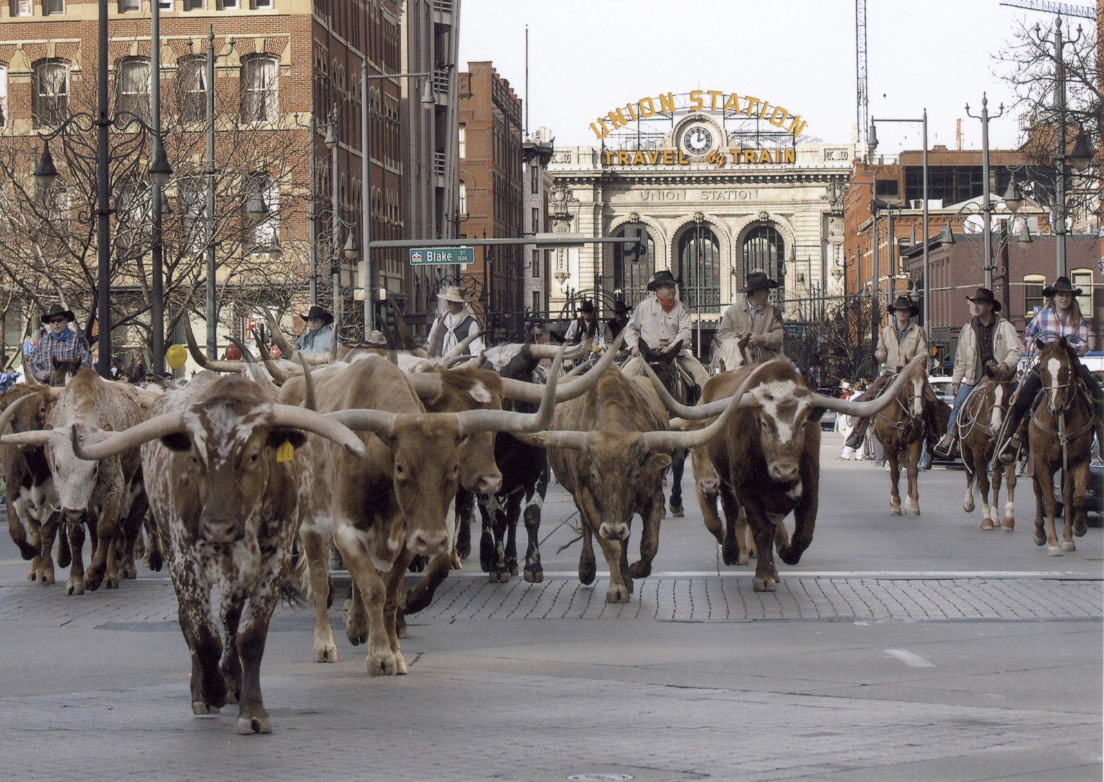Home of the Western Stock Show: one of the largest rodeos in the US! Hope you like the smell of cow!
