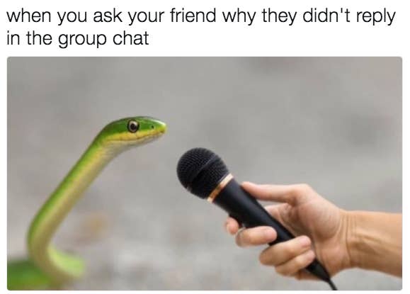 21 Memes To Send To Your Group Chat Immediately