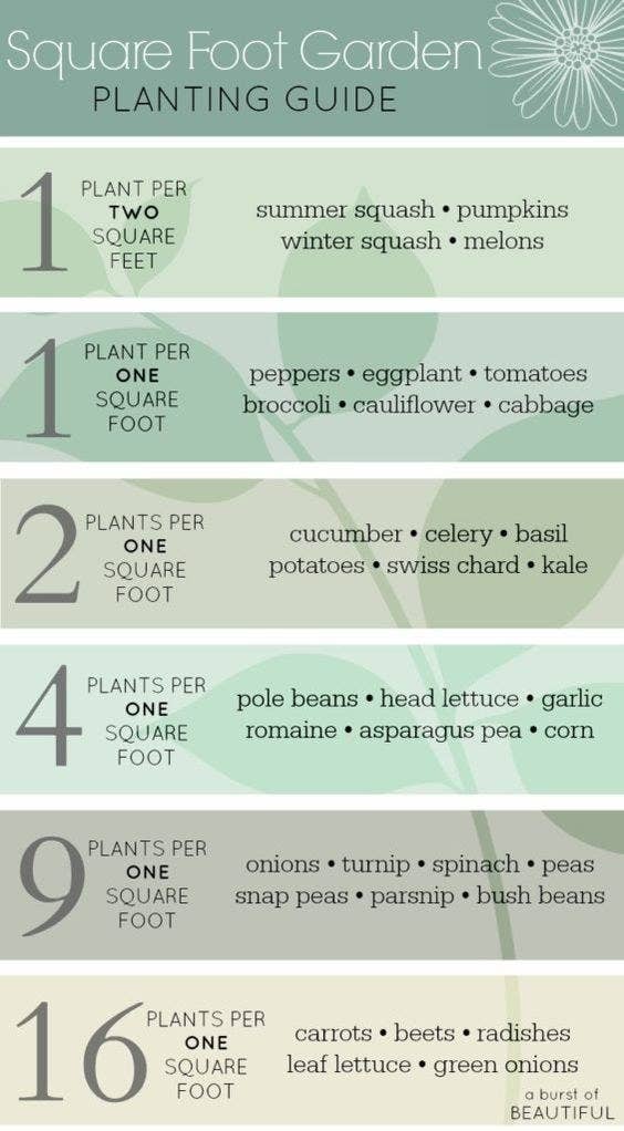 17 Charts For People Who Love Plants But Can T Keep Anything Alive