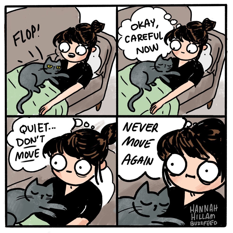 27 Comics About Cats That Are Too Real
