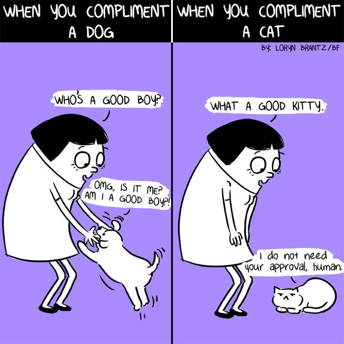 View Comic Cat Images