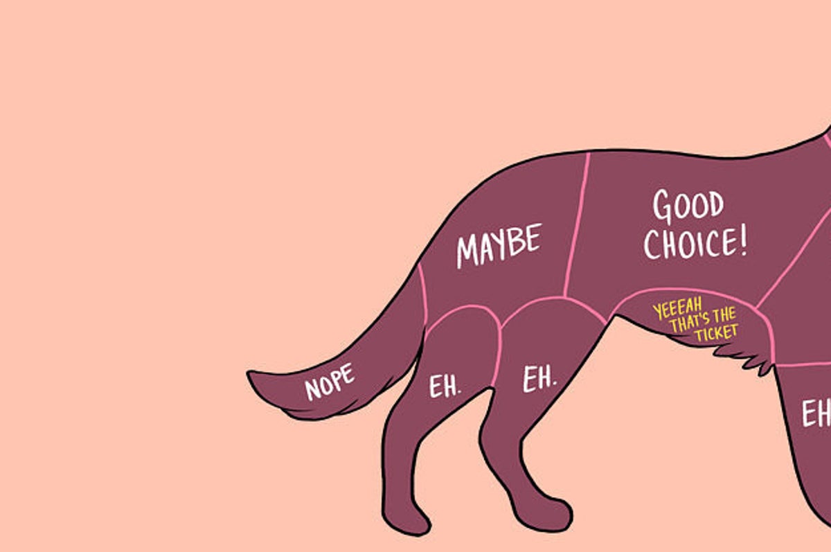 15 Charts That Perfectly Illustrate How To Properly Pet Animals