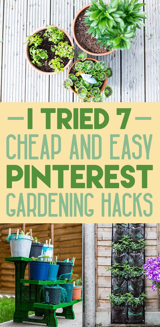 I Tried 7 Pinterest Garden Hacks For Beginners