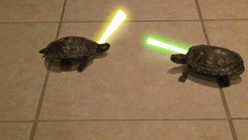 Turtle