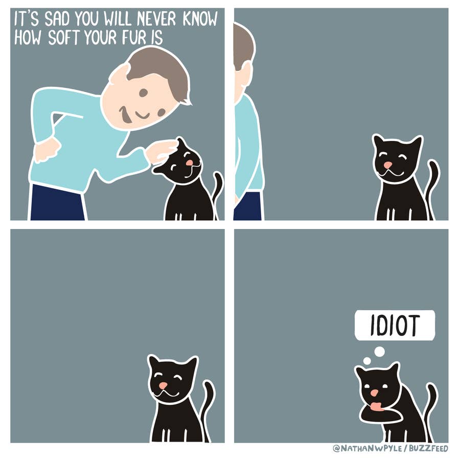 27 Comics About Cats That Are Too Real