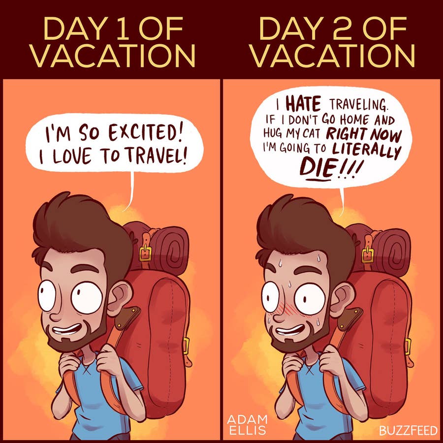 27 Comics About Cats That Are Too Real