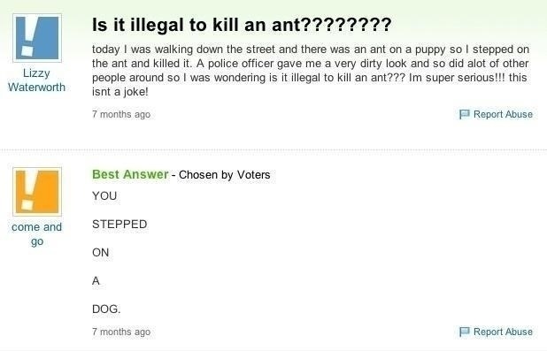 22 Yahoo Questions You Ll Wish You Hadn T Read