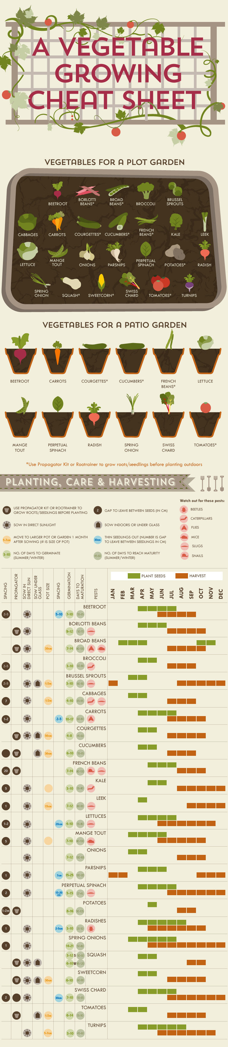 17 Charts For People Who Love Plants But Can't Keep Anything Alive