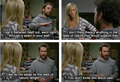 26 Jokes From It S Always Sunny In Philadelphia That Will Never