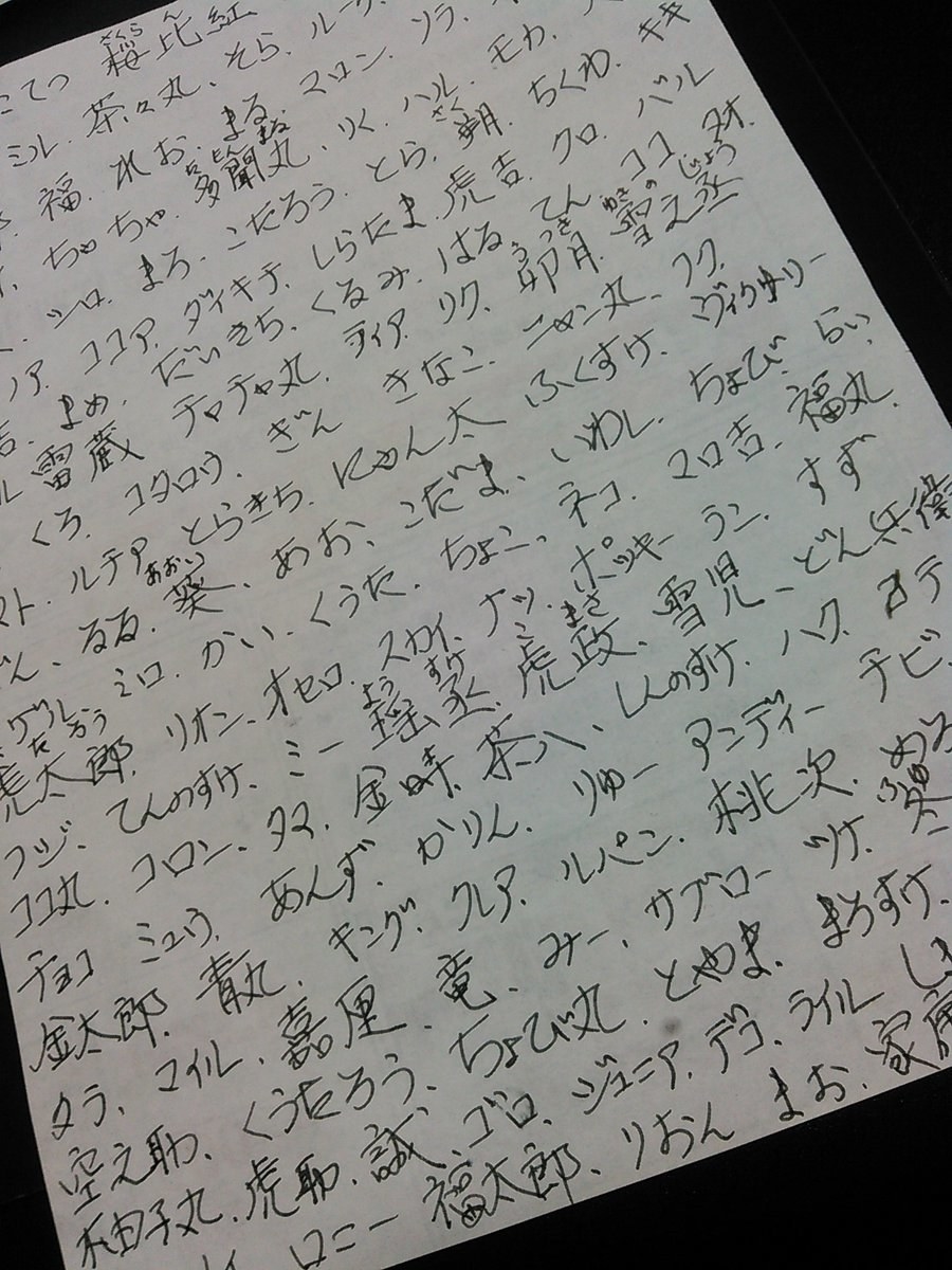 お父さんが考えたネコの名前リストが「可愛いすぎる」とネットで話題に