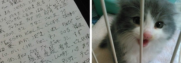 お父さんが考えたネコの名前リストが 可愛いすぎる とネットで話題に