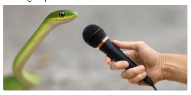 21 Memes To Send To Your Group Chat Immediately