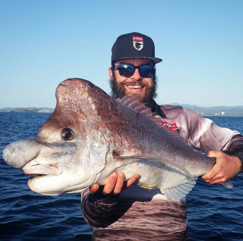 99 の人が二度見する写真11選 99 の人が二度見する写真11選