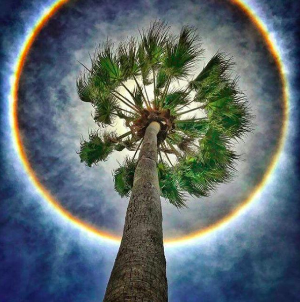 The dude who took this says he used no filter. So WTF is happening here?