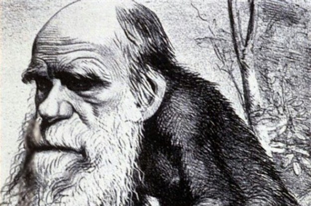 Memes Darwin Understands Jackpineradicals