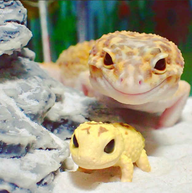 mini leopard gecko toy