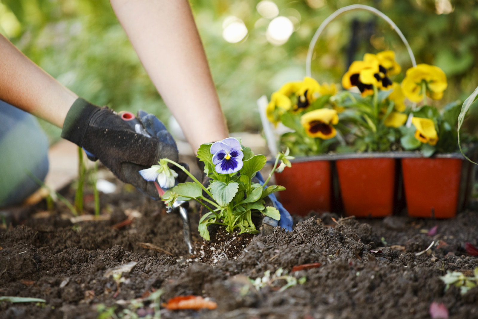 An optional tip, planting flowers is a great way to brighten up your property!