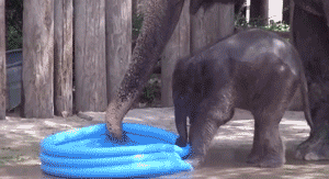 "You get in the shower now. You go in after. You took a bath last night. And I'll just put on a ton of deodorant."