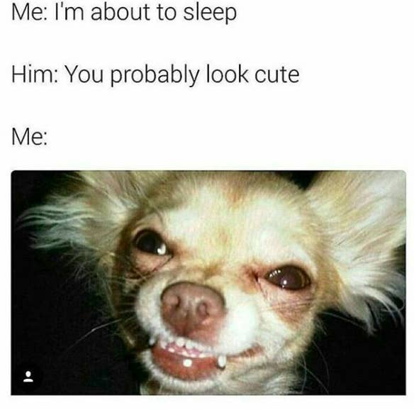 Dare You Not To Laugh At These 23 Animal Memes
