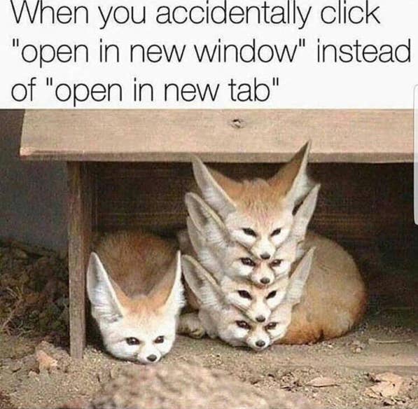 Dare You Not To Laugh At These 23 Animal Memes