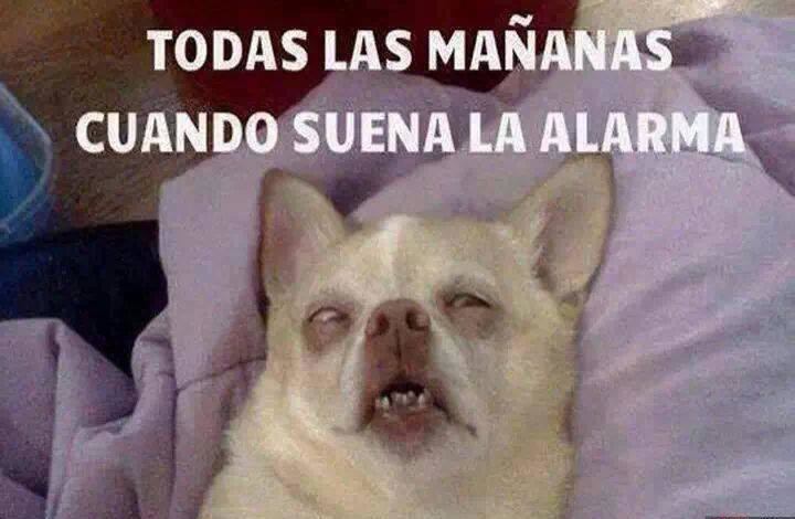A veces estarás desvelado y sin ánimos de ¡NADAAA!, pero tranquilo nada que un buen café y la satisfacción de ver a un cliente feliz no pueda arreglar. Cuando comienzan a ver tu esfuerzo tú familia te apoyará, tus amigos, y pronto todo estará bien, te sentirás un poco mejor al recordar que no despertaste para ver a tu jefe cascarrabias, si no para trabajar para algo que a ti te apasiona.