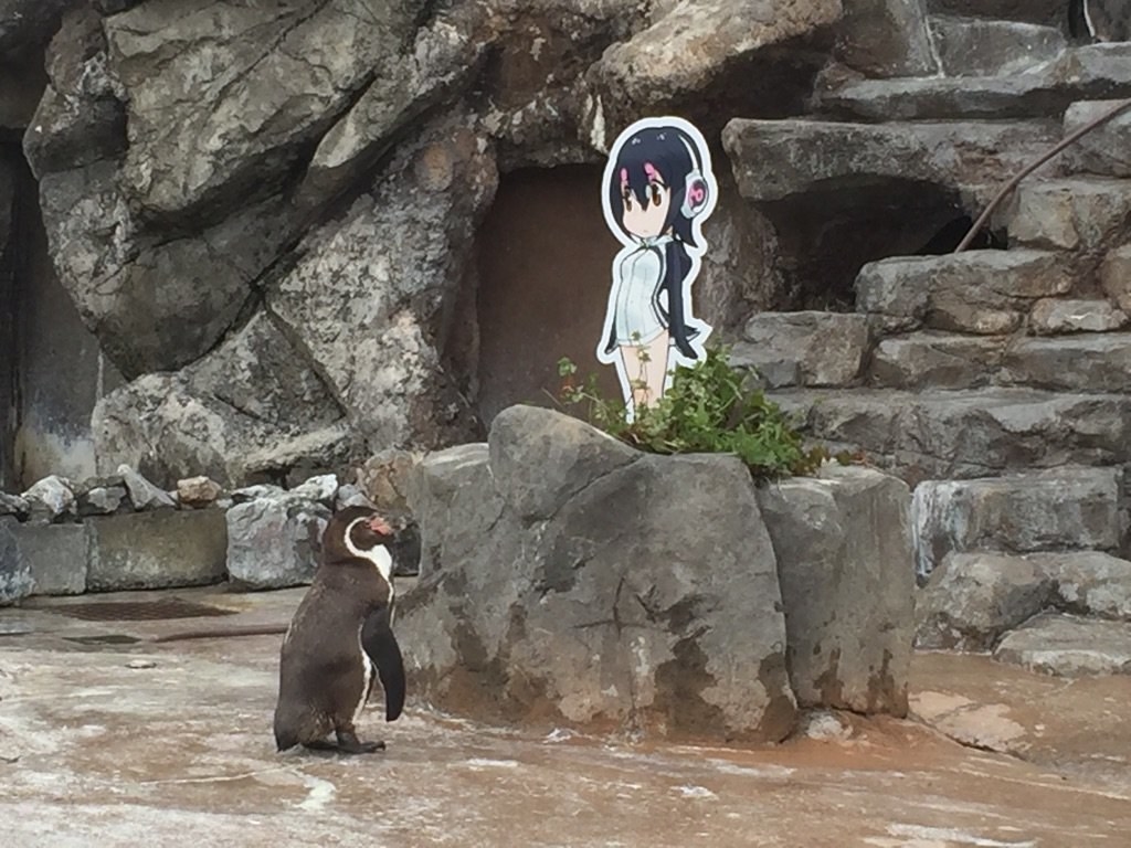 cute anime penguin sticker