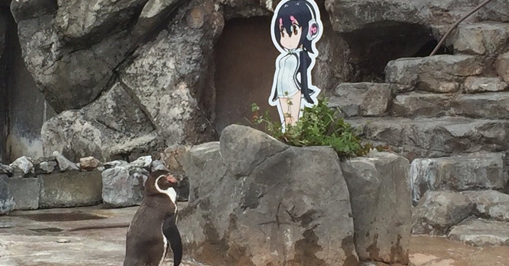 妻に見捨てられ アニメキャラに恋するペンギン 悲しい過去があった