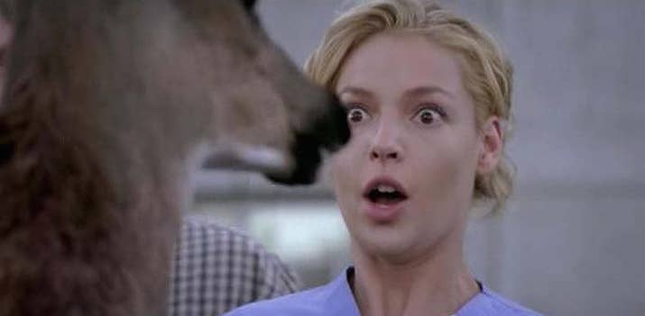 When Izzie gives CPR to a deer in the back of a pickup.—heathers45ddf375a