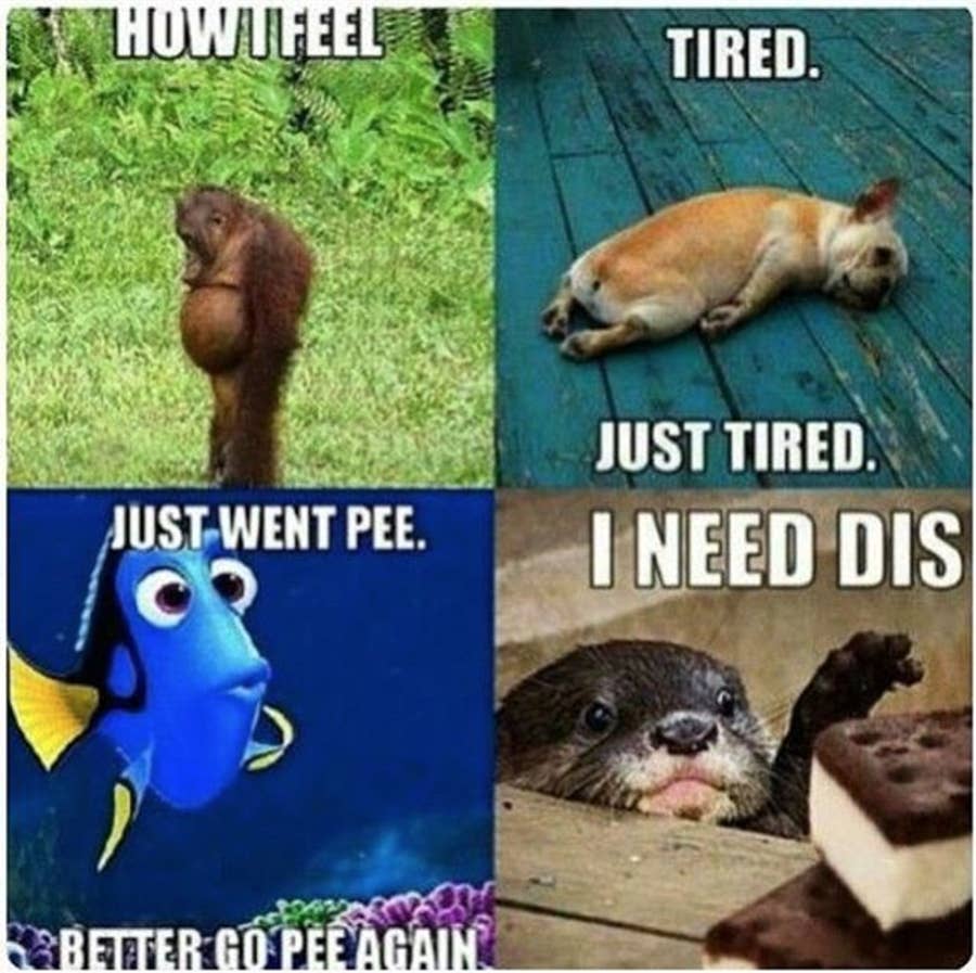 Delfina Care® (@delfinacare) • Instagram photos and videos, image size:900x897