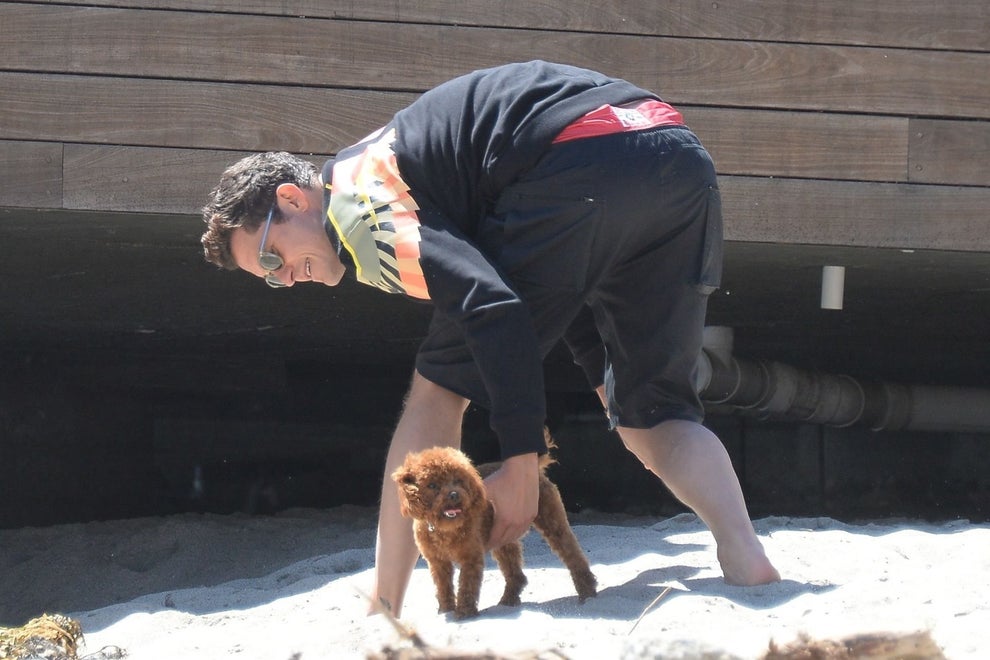Orlando Bloom Went To The Beach With His Adorable Dog