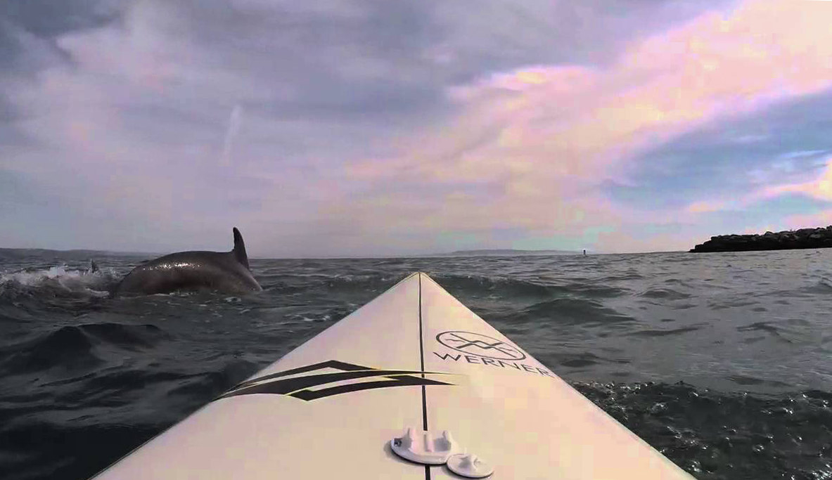 The Moray Firth is home to a resident pod of dolphins, and while sightings and up-close encounters aren't guaranteed, they're certainly very likely. Suds Surf School hire out stand-up paddleboards if you don't have your own, and you can get a lesson from their expert paddlers if you're a beginner.