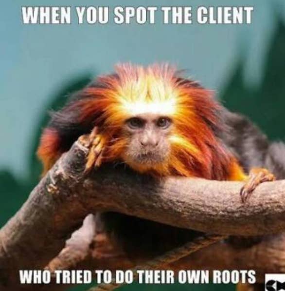 60 Memes That Will Keep Hairdressers Laughing For Hours