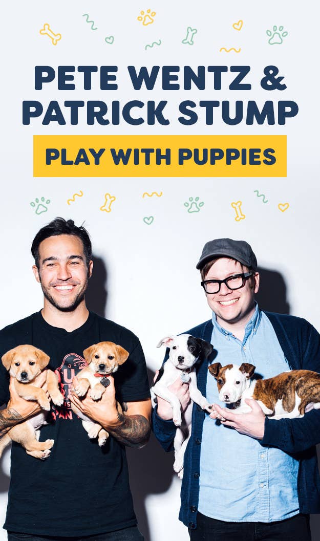 It&#x27;s been 14 years since Take This to Your Grave had a residency in our car&#x27;s CD player while we all screamed &quot;WHERE IS YOUR BOY TOOOONIGHT&quot; at the top of our lungs. And while we&#x27;ve all grown up, and moved past some questionable fashion choices (RIP side-swept emo bangs), one thing has remained the same: Fall Out Boy&#x27;s ability to blow our damn minds with music.Now they&#x27;re back at it again with an upcoming fall tour and their seventh studio album, M A N I A, out Sept. 15. So we had Pete Wentz and Patrick Stump stop by BuzzFeed NY to answer everything you&#x27;ve been dying to know, while playing with some hella cute rescue puppies. Because what is truly better than Pete + Patrick + pups?