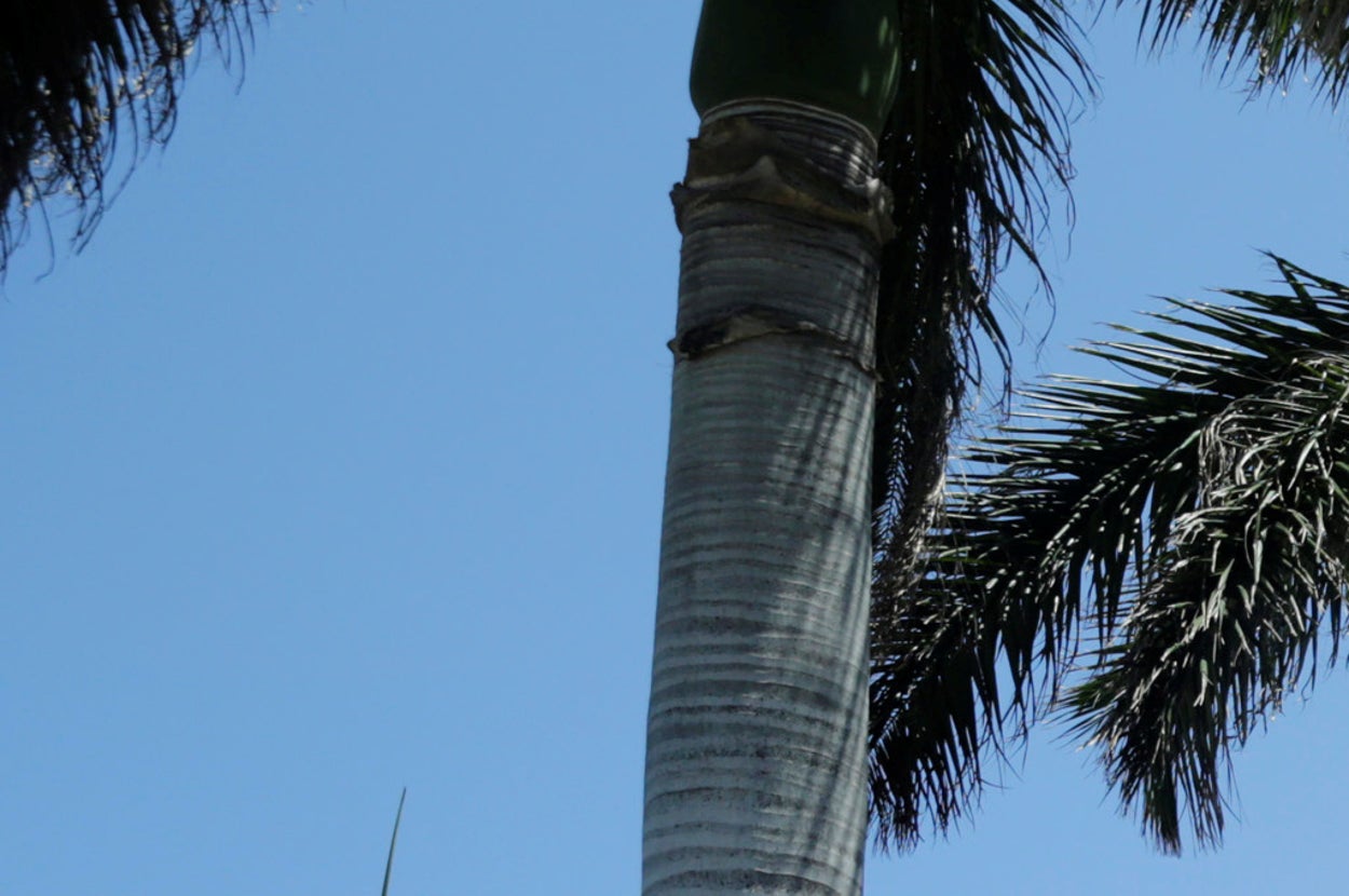 Heather Rinkus A Top Mar-A-Lago Employee Is Quietly Doing Government Work For Trump’s ...