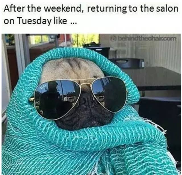 60 Memes That Will Keep Hairdressers Laughing For Hours