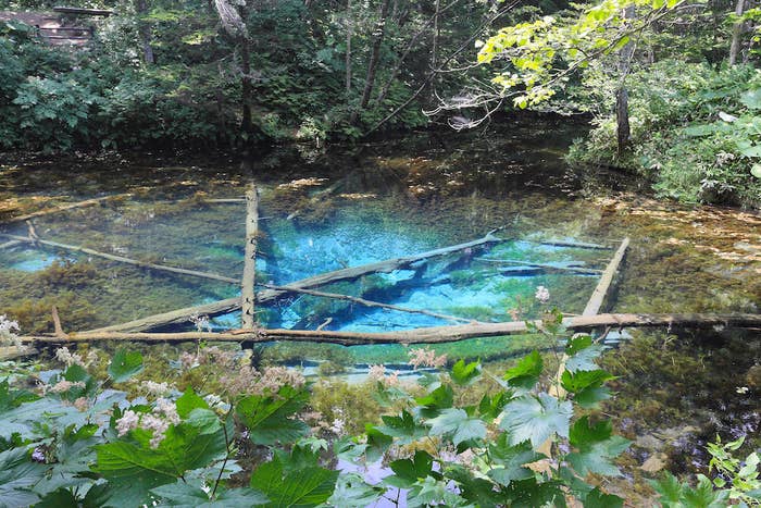 絶対に行かないで 北海道に行くべきでない 17の証拠写真