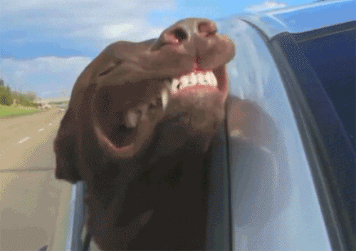 But when you're on the highway or going above 55, roll up the windows and turn up the A/C. Read more about why this works on Popular Mechanics.