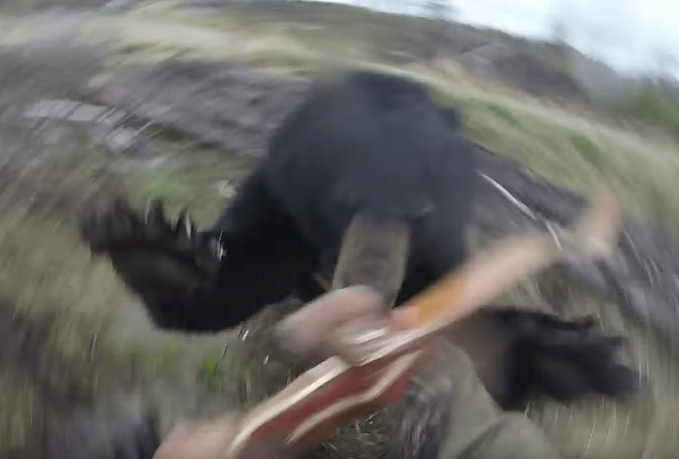Нападение медведя на человека.