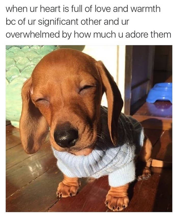 12 Funny Memes To Cheer Up Your Boyfriend Factory Memes