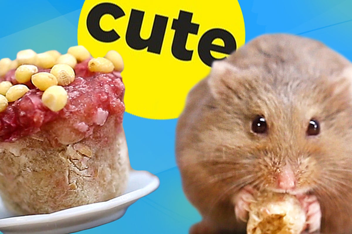 How To Make Tiny Cupcakes For Your Hamster The most suitable amount of banana for a hamster is one small slice so that it does not store it and that the banana does not deteriorate. how to make tiny cupcakes for your hamster