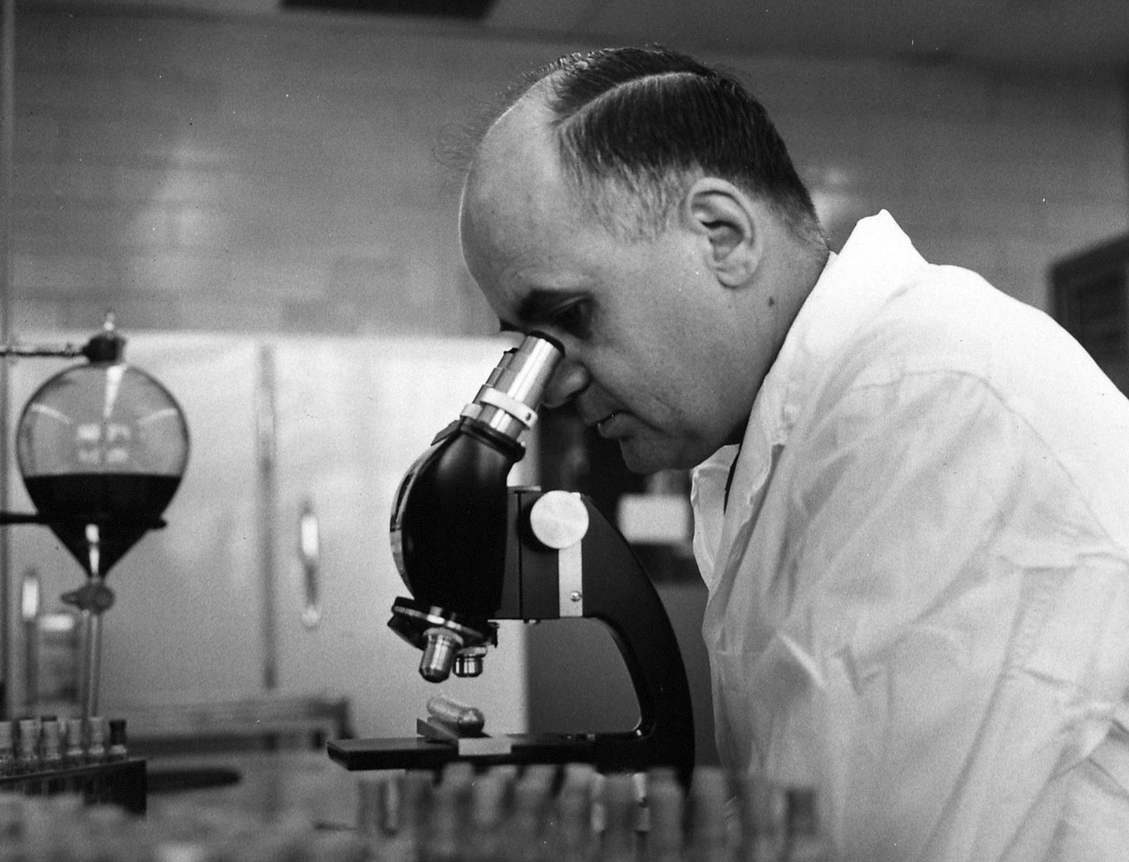 The Marek's virus was really affecting the poultry industry in the 1960s and causing a lot of chicken deaths. So our hero, Maurice Hilleman, helped make a virus against Marek's disease! Most chicken should receive the vaccine at around 1 day of age. There are different forms of this vaccine. The HVT serotype can provide up to 40 weeks of immunity. Innovate-ILT has no adverse side effects reported and can provide up to 60 weeks of immunity from the virus. Rismavac can cause some lesions as a side effect but can provide up to one year of immunity. It should be noted that these vaccines only protect against a few of the strains of this disease. So we're hoping more vaccines are made for our chickens!