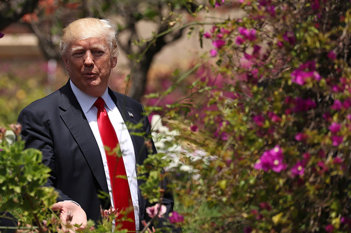 How Do You Correctly Pronounce Covfefe Buzzfeed has breaking news, vital journalism, quizzes, videos, celeb news, tasty food videos, recipes, diy hacks, and all the trending buzz you'll want to share with your friends. how do you correctly pronounce covfefe