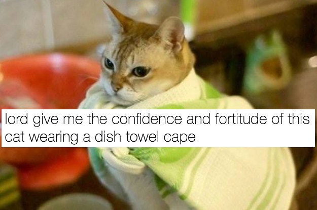 25 Best Memes About Memes Memes Funny