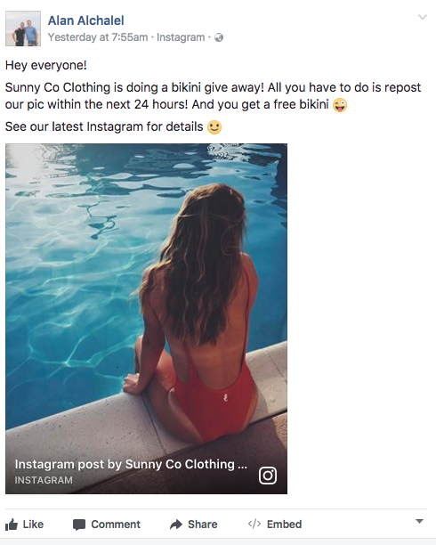 6 Chic Alternatives to the Viral Red Bathing Suit Flooding Your Instagram  Feed