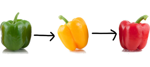 What's the Difference Between Green, Orange and Red Peppers?