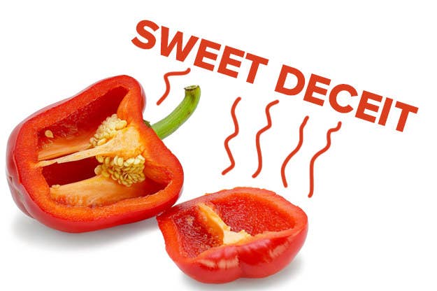 I Just Learned The Truth About Bell Peppers And What The Hell